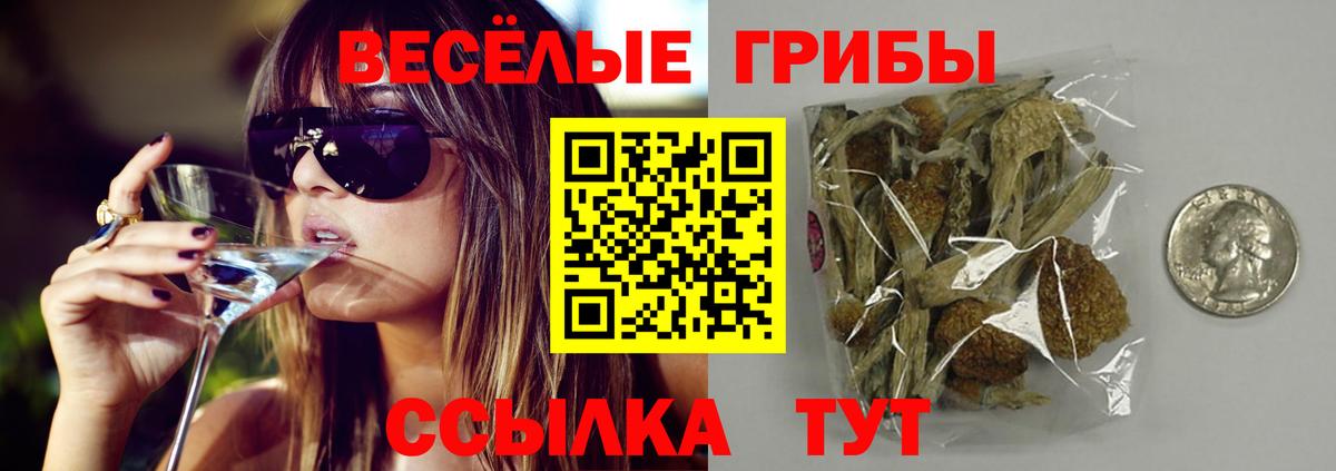 Курчалой  Галлюциногенные грибы GOLDEN TEACHER  Вход с VPN  Галлюциногенные грибы GOLDEN TEACHER 